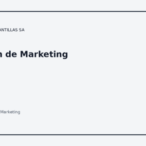 Plan de Marketing