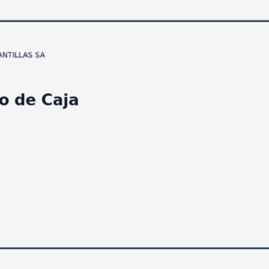 Flujo de Caja