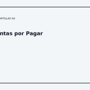 Cuentas por Pagar