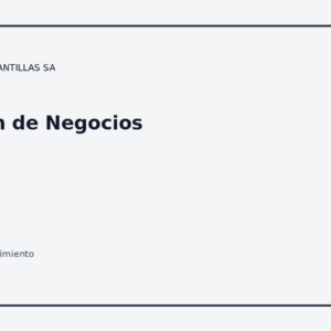 Plan de Negocios